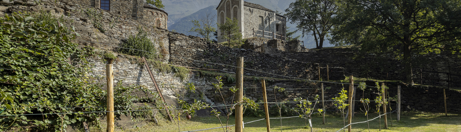 home novalesa 2025 d